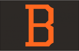 Baltimore Orioles 1963 Cap Logo Print Decal