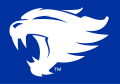 Kentucky Wildcats 2016-Pres Alternate Logo Print Decal