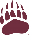 Montana Grizzlies 1996-Pres Secondary Logo 02 Print Decal