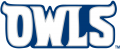 Rice Owls 1997-2009 Wordmark Logo Iron On Transfer