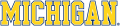 Michigan Wolverines 1996-Pres Wordmark Logo 13 Iron On Transfer