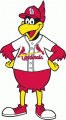 St.Louis Cardinals 1980-Pres Mascot Logo Print Decal