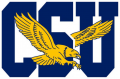 Coppin State Eagles 2017-Pres Primary Logo Iron On Transfer