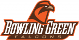 Bowling Green Falcons 2006-Pres Secondary Logo Print Decal