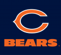 Chicago Bears 1974-Pres Wordmark Logo 02 Print Decal