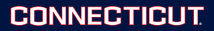UConn Huskies 2013-Pres Wordmark Logo 07 Print Decal