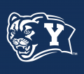 Brigham Young Cougars 2005-Pres Alternate Logo 02 Iron On Transfer