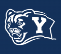 Brigham Young Cougars 2005-Pres Alternate Logo 02 Print Decal