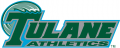 Tulane Green Wave 1998-2013 Wordmark Logo 01 Print Decal