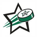 Dallas Stars Hockey Goal Star logo Iron On Transfer
