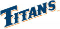 Cal State Fullerton Titans 1992-2009 Wordmark Logo 03 Iron On Transfer