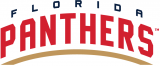 Florida Panthers 2016 17-Pres Wordmark Logo Iron On Transfer