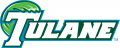 Tulane Green Wave 2014-Pres Wordmark Logo 01 Iron On Transfer