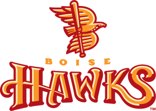 Boise Hawks 2007-2010 Primary Logo Print Decal