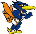 Texas-SA Roadrunners 1996-2007 Mascot Logo Print Decal