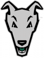 Loyola-Maryland Greyhounds 2011-Pres Alternate Logo 01 Print Decal