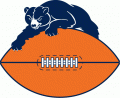 Chicago Bears 1946-1973 Primary Logo Iron On Transfer