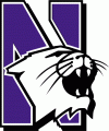 Northwestern Wildcats 1981-2011 Primary Logo 01 Iron On Transfer