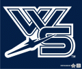 Windsor Spitfires 2010 11-Pres Alternate Logo Iron On Transfer