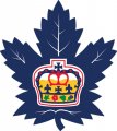 Toronto Marlies 2016 17-Pres Primary Logo Print Decal