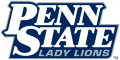 Penn State Nittany Lions 2001-2004 Wordmark Logo Iron On Transfer