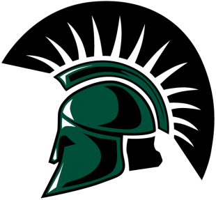 USC Upstate Spartans 2003-2008 Primary Logo Iron On Transfer