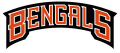 Cincinnati Bengals 1997-2003 Wordmark Logo Iron On Transfer