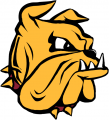 Minnesota-Duluth Bulldogs 1996-Pres Secondary Logo Print Decal