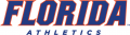 Florida Gators 2013-Pres Wordmark Logo 07 Iron On Transfer