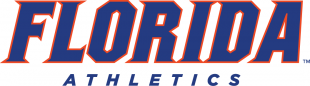 Florida Gators 2013-Pres Wordmark Logo 07 Print Decal