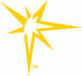 Tampa Bay Rays 2008-Pres Alternate Logo 02 Print Decal