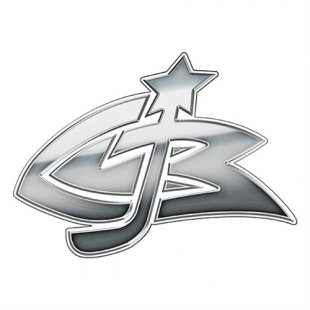 Columbus Blue Jackets Silver Logo Print Decal