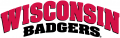 Wisconsin Badgers 2002-Pres Wordmark Logo 01 Print Decal