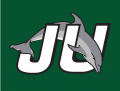 Jacksonville Dolphins 1996-2018 Alternate Logo Print Decal