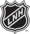 National Hockey League 2005-Pres Alternate 01 Logo Print Decal