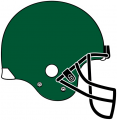 Tulane Green Wave 2005 Helmet Logo 03 Print Decal