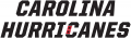 Carolina Hurricanes 2018 19-Pres Wordmark Logo 04 Print Decal