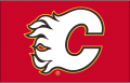 Calgary Flames 1994 95-1999 00 Jersey Logo Print Decal