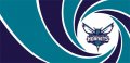 007 Charlotte Hornets logo Print Decal