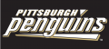 Pittsburgh Penguins 2002 03-2008 09 Wordmark Logo Iron On Transfer