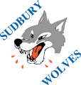 Sudbury Wolves 1989 90-2008 09 Primary Logo Print Decal