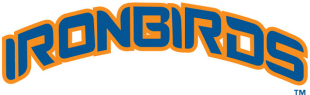 Aberdeen IronBirds 2002-2009 Wordmark Logo Iron On Transfer