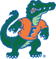 Florida Gators 1995-Pres Alternate Logo Iron On Transfer