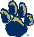 Pittsburgh Panthers 1997-2018 Alternate Logo Print Decal