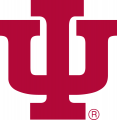 Indiana Hoosiers 1976-1981 Primary Logo Iron On Transfer