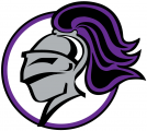 Holy Cross Crusaders 2010-Pres Alternate Logo Print Decal