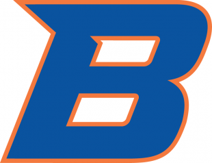 Boise State Broncos 2013-Pres Secondary Logo Iron On Transfer