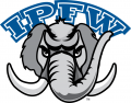 IPFW Mastodons 2003-2015 Secondary Logo 02 Iron On Transfer