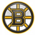 Boston Bruins Plastic Effect Logo Iron On Transfer