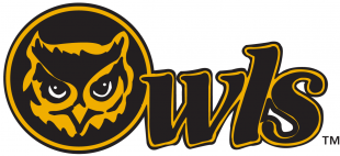 Kennesaw State Owls 1992-2011 Primary Logo Print Decal